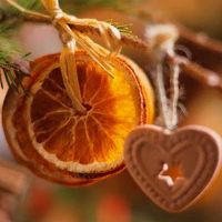 kako sušiti pomaranče za dekor 11