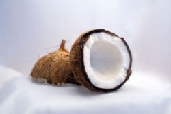 Како јести кокос
