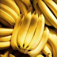 Banány rostou na palmách?