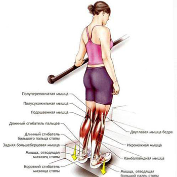 kako izgubiti težinu u nogama bez pumpanja mišića2