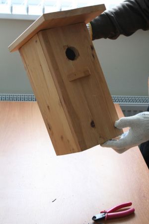како направити кућу са птицама властитим рукама26