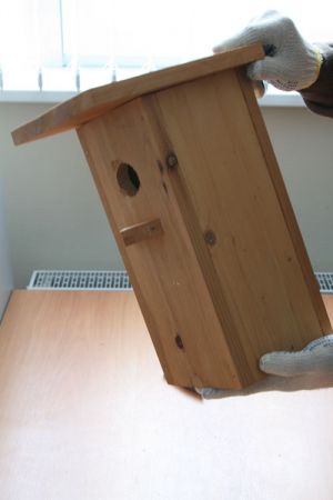 kako narediti birdhouse z lastnimi rokami27