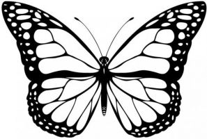 как да направите хартиена пеперуда 29