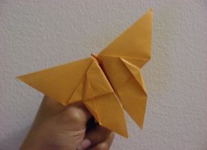 jak vyrobit papírový motýl 7