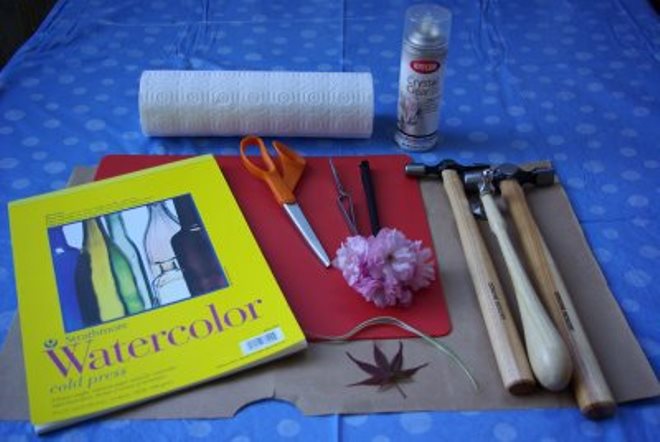 Jak vyrobit herbář pro základní školu2