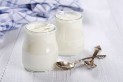 jak vyrobit domácí jogurt bez výrobce jogurtu