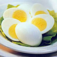 jak zrobić białko jaj