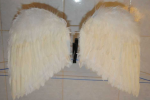 Ангелските крила го правят сами 10
