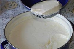 како брзо направити јогурт од млека