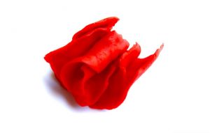 plastidinová růže 6