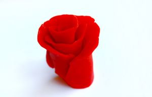 пластинин роза 7