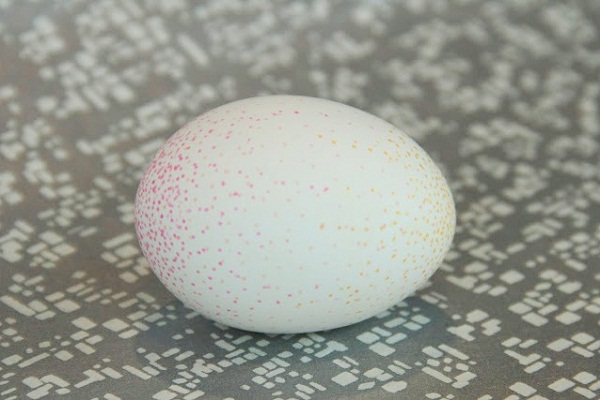 Jak zdobit vejce na Velikonoce 2