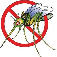 ochrona przed komarami dla dzieci