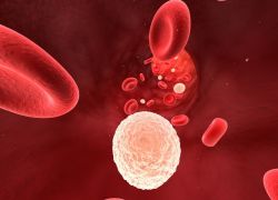 как да увеличите белите кръвни клетки след химиотерапия