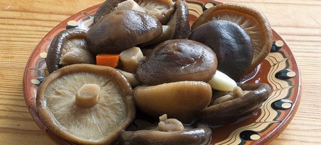 szybkie marynowanie grzybów