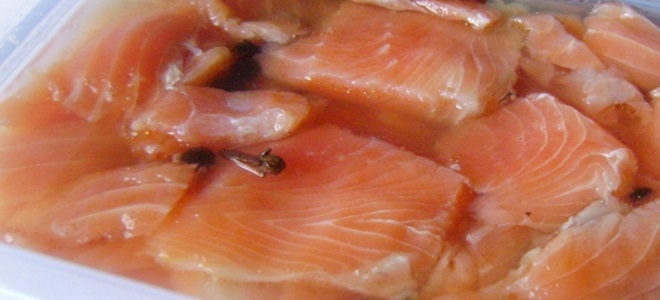 slaný losos ve slaném nálevu