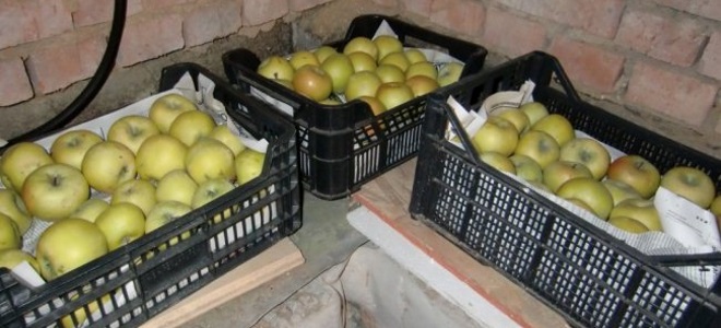 как да съхранявате ябълки