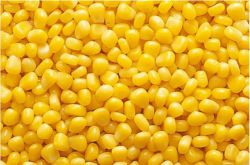 как да съхранявате варена царевица