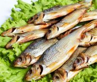 podmínky skladování sušených ryb