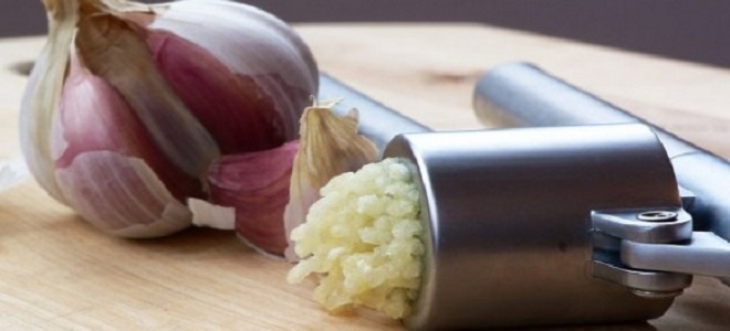 jak ukládat mletý česnek