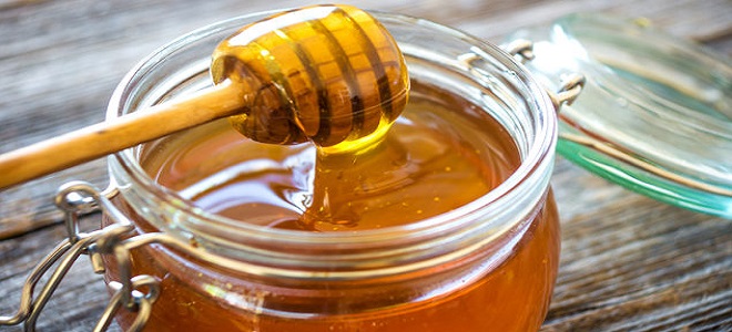 Kako pohraniti med