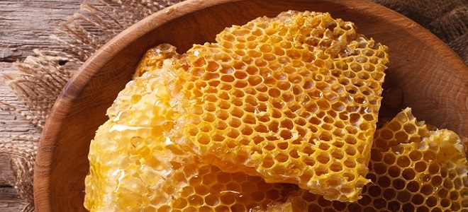 Kako shraniti med