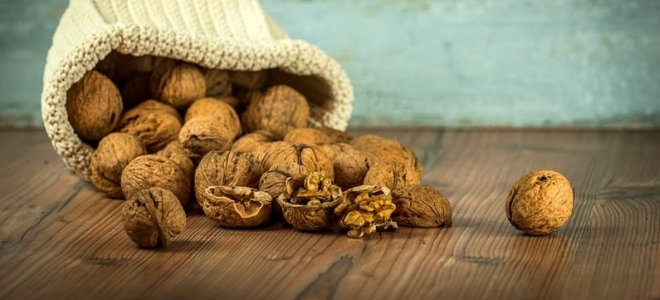 Как да съхранявате орехите
