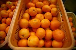 kako dolgo hraniti tangerine