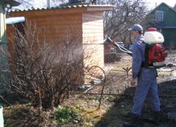 Wiosenne przetwarzanie agrestu