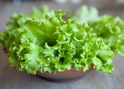 какво е полезна зелена листа салата