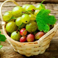 Как е цариградско грозде полезно за бременни жени?