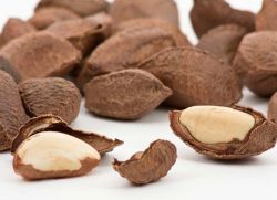 Ořechové užitečné vlastnosti ořechů