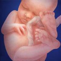 kako odrediti fetusnu hipoksiju