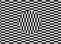iluzje percepcji1