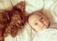 Jude Law i Catherine Harding's Baby