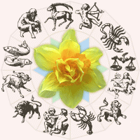doma rože zodiak
