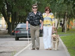Международен ден на слепите1
