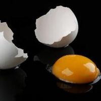 zašto piti sirove jajne stanice