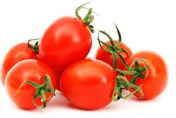 Je možné, že se rajčata stanou gardisty