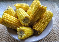 możesz jeść gotowaną kukurydzę w nocy