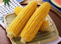 czy możesz jeść kukurydzę na diecie?