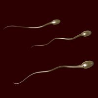 да ли је штетно прогутати сперму