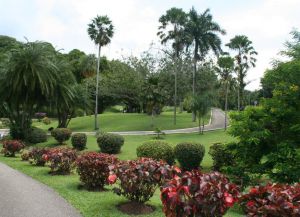 Ботанический сад Скарборо