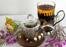 ljekovito bilje ivan čaj ljekovita svojstva