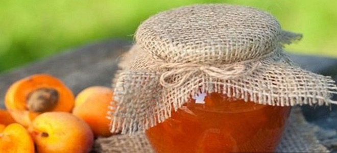 jablkový meruňkový recept na jam