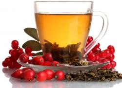 čaj s viburnum korisnim svojstvima