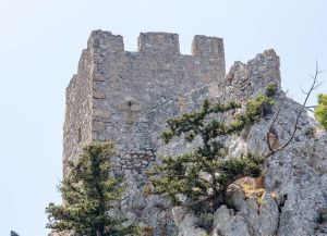 Башня-близнец замка