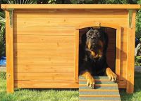 Doghouse dla psów2
