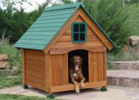Doghouse dla psów5