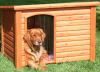 Doghouse za pse 8